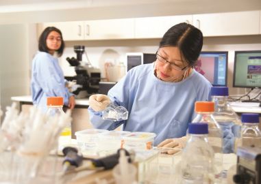 Biomedical research student using campus research facilities